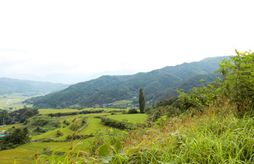 バラン山/巣龍山